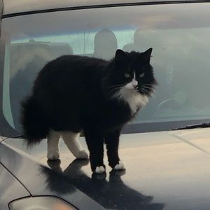 Meet your Posher, Hannah